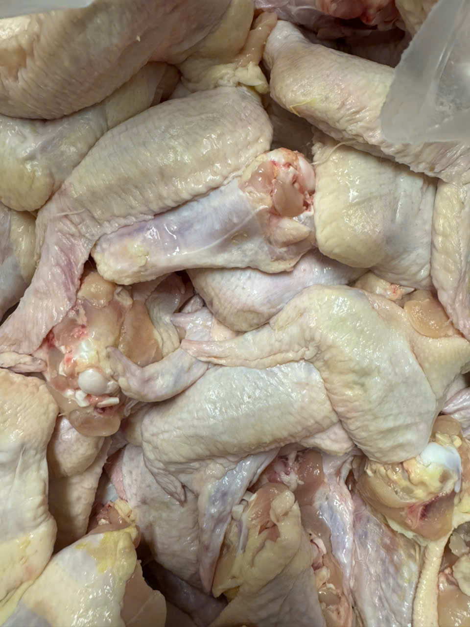 Chicken wings - Good price, fresh everyday